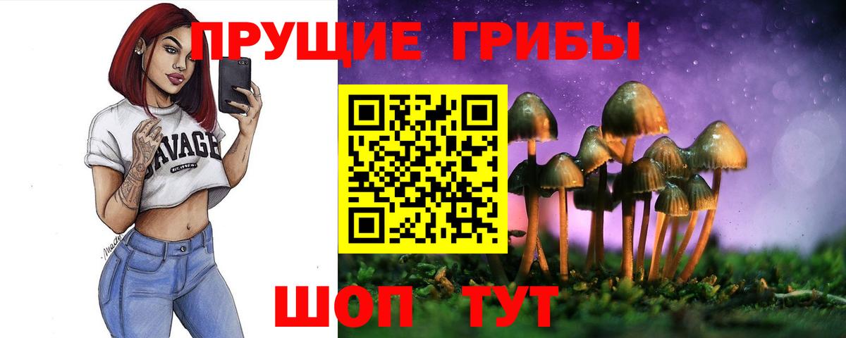 Галлюциногенные грибы GOLDEN TEACHER  Псилоцибиновые грибы мицелий  Вход с VPN  Тавда 