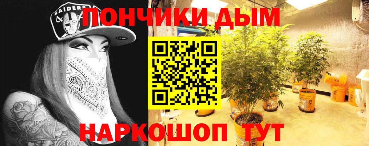 Конопля Bruce Banner  Марихуана MAZAR  Бошки Шишки SATIVA & INDICA  Тавда  Канабис OG Kush  Вход с VPN 
